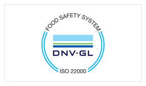 dnv gl